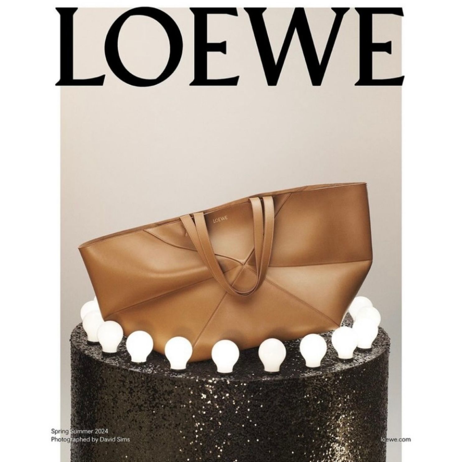 loewe heel pouch